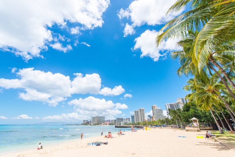 Hawaii beach background image